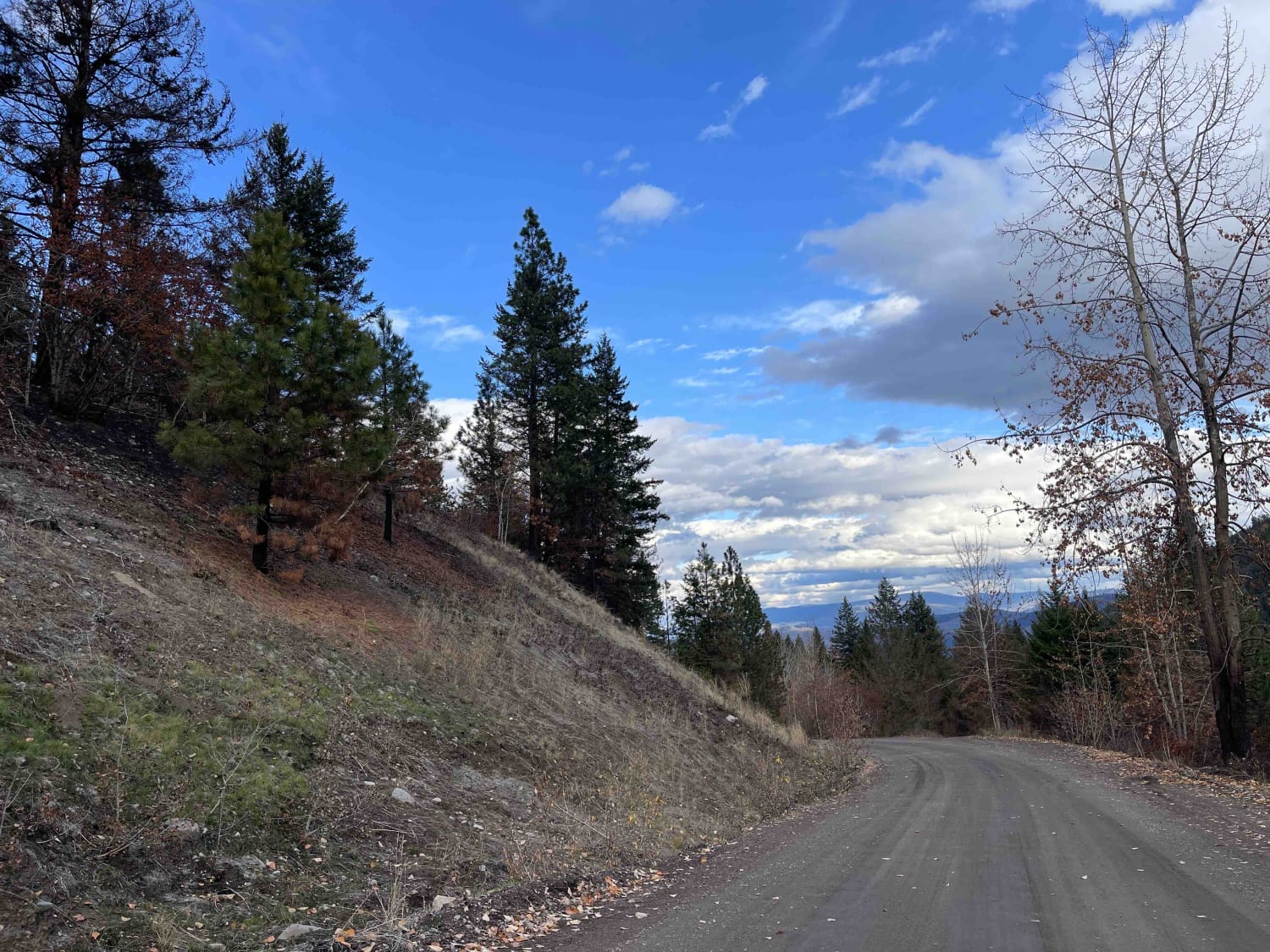 Bouleau Lake FSR to Whitemann Creek FSR