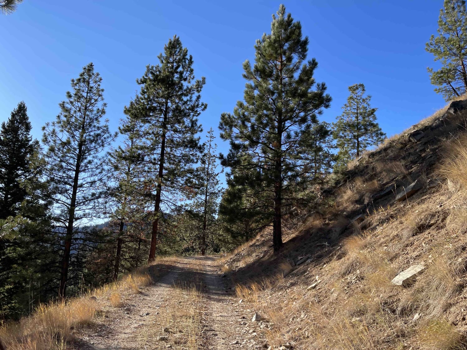 Little Boulder Side Trail