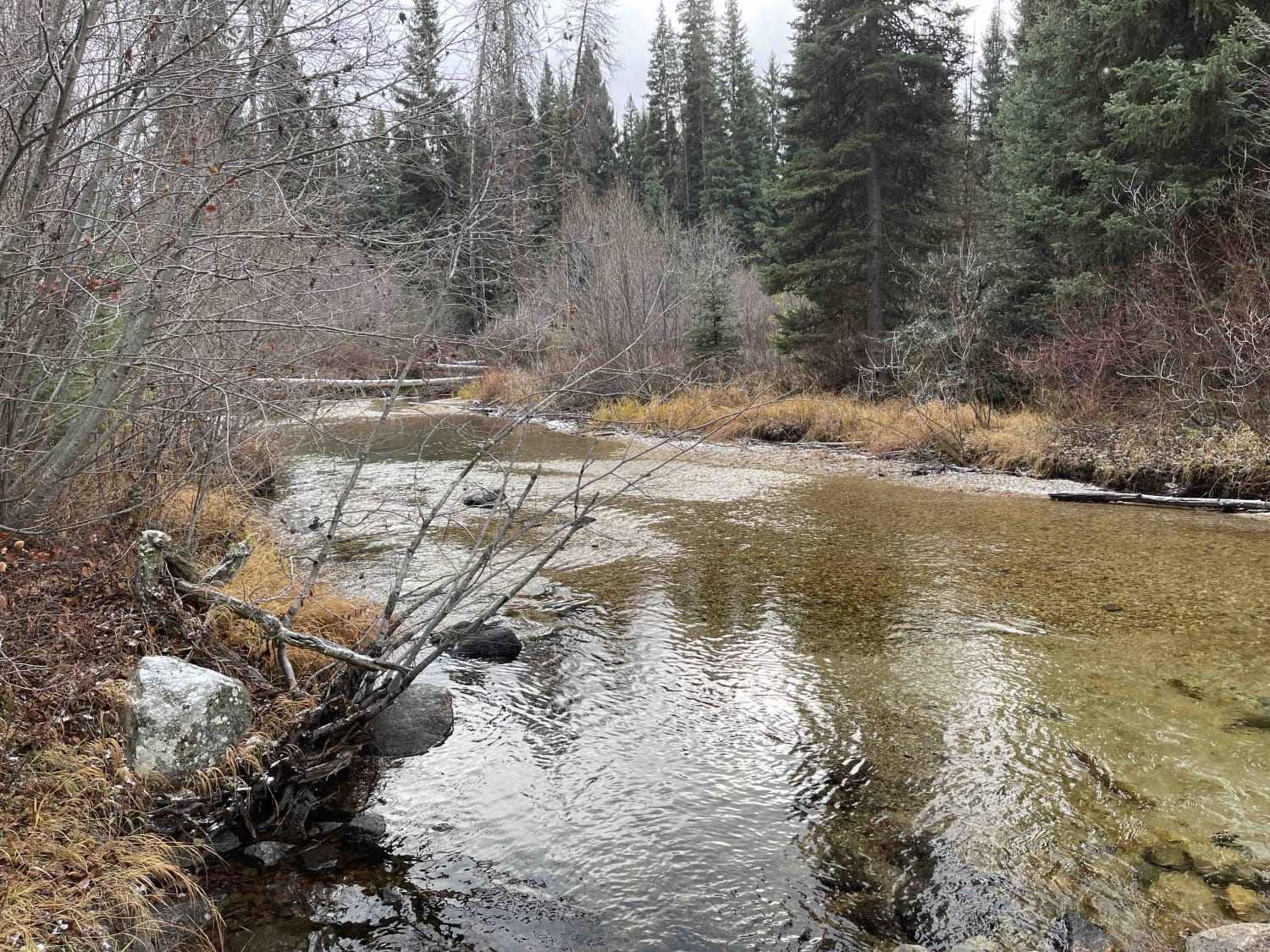 Trapper Trailhead Side Trail