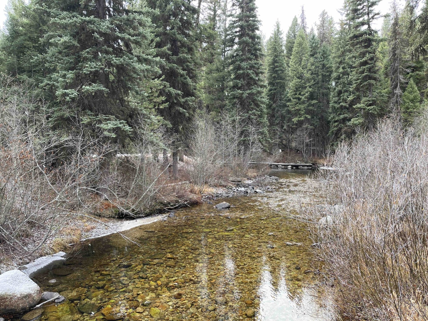 Trapper Creek Trailhead, Montana OffRoad Trail Map & Photos onX