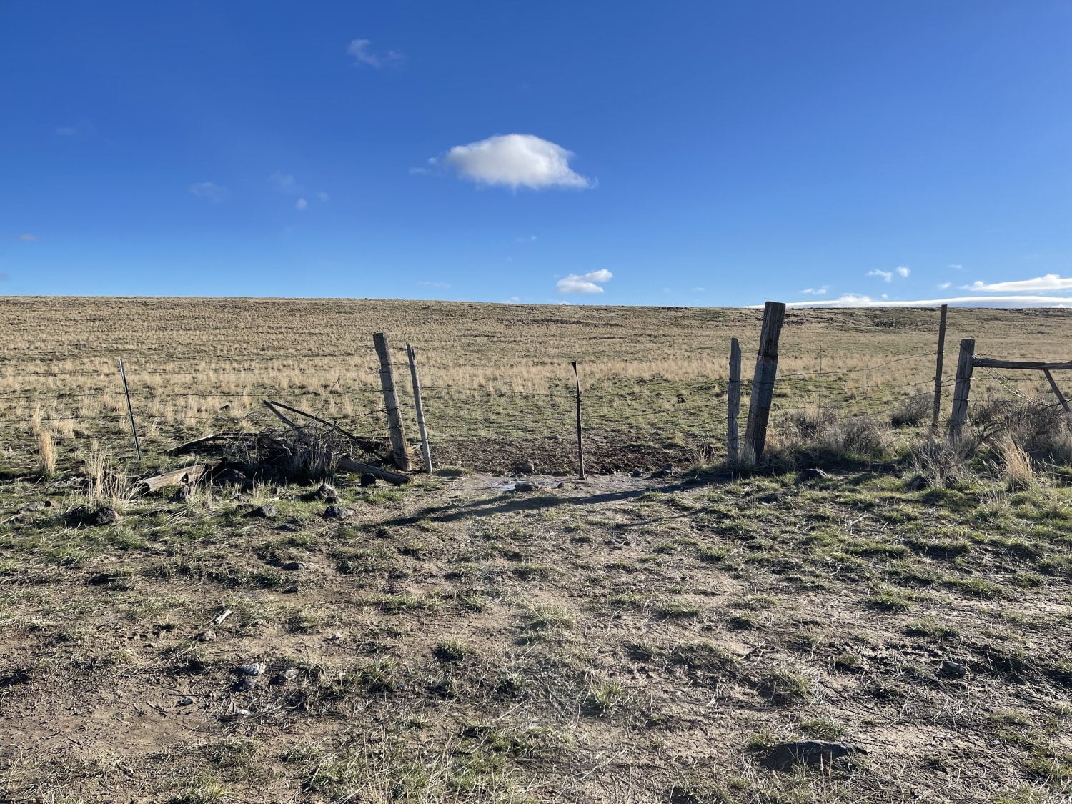 Fence Line Trail