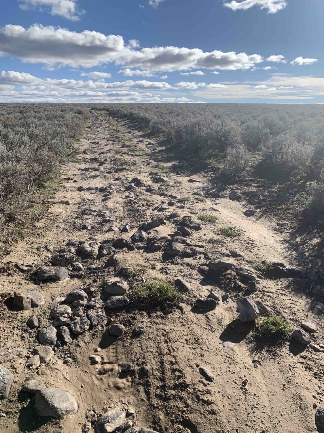 Callen To Whisky Creek Overlook