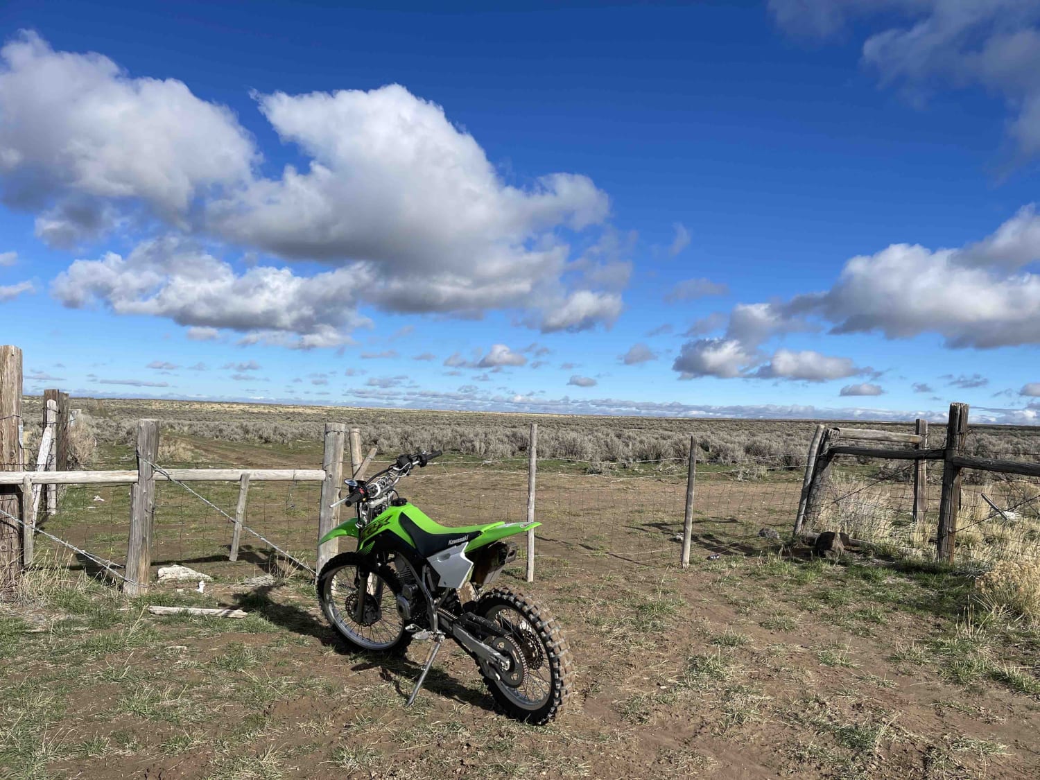 Muddy Cow Fields