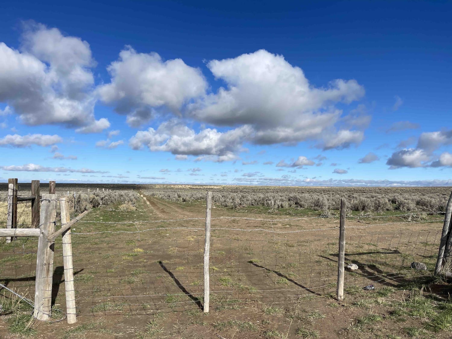 Muddy Cow Fields, Idaho : Off-Road Map, Guide, and Tips