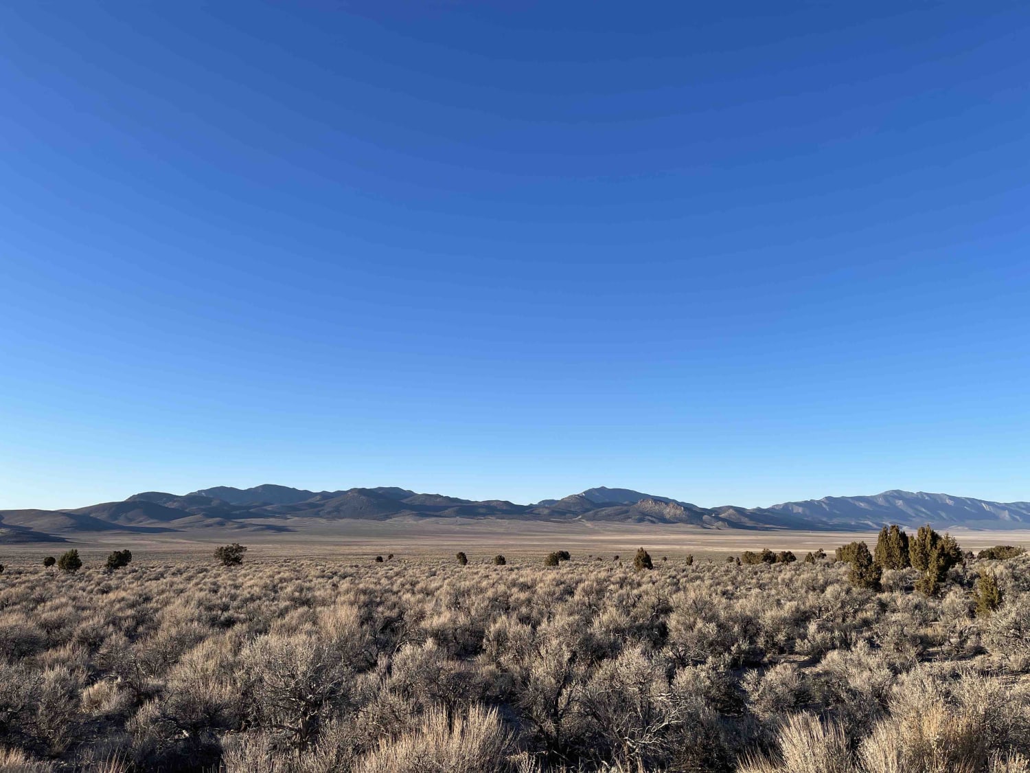 Middle Silver State Trail to OHV Marker