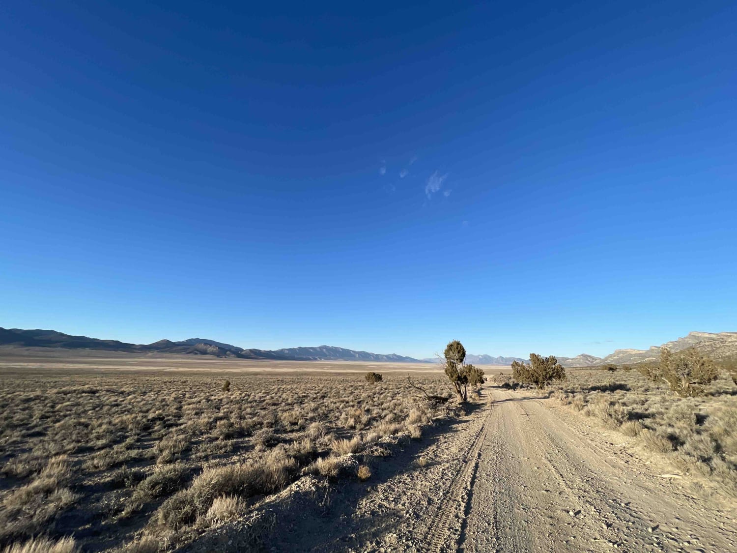 Middle Silver State Trail to OHV Marker