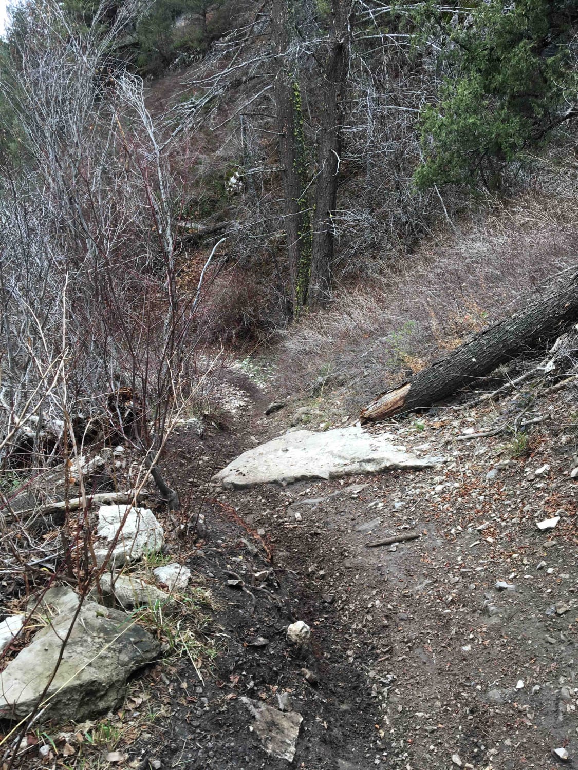 Burns Creek, Hell Hole, and Coalmine Access