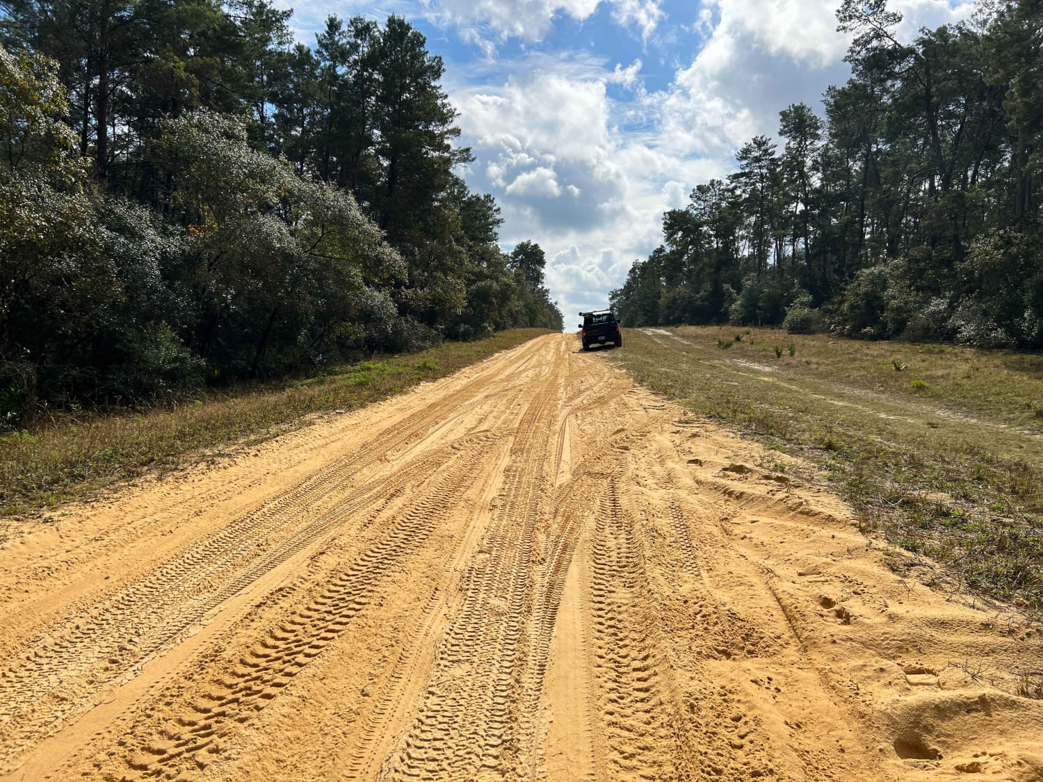 Sandy Pipeline Run