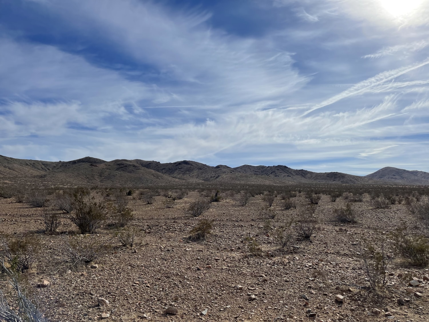 Main Staging Area Into the Desert