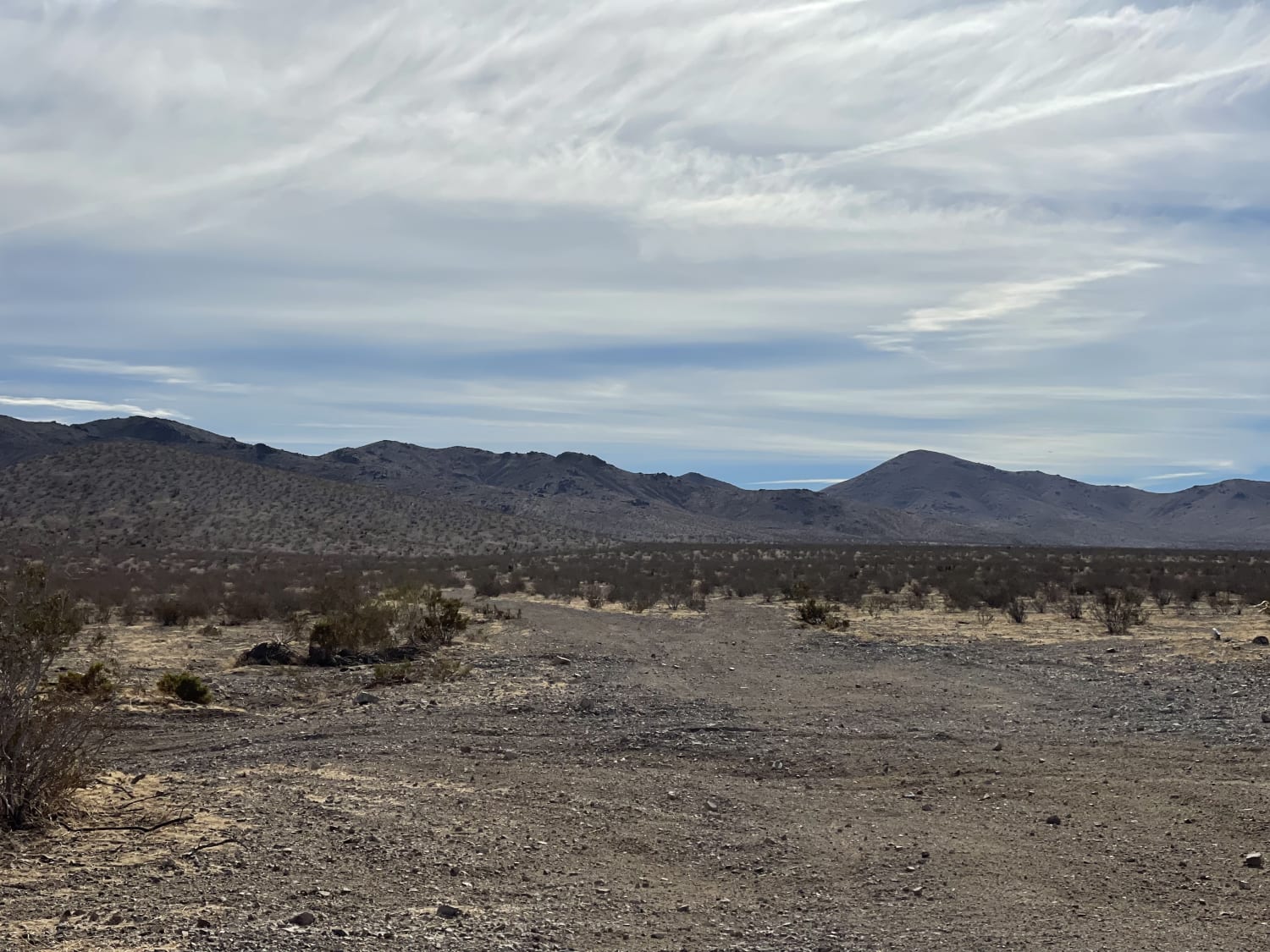 Main Staging Area Into the Desert