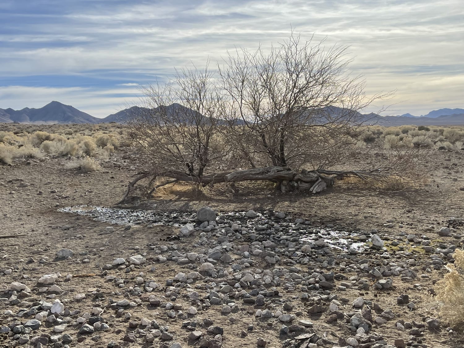 Mud Springs Road