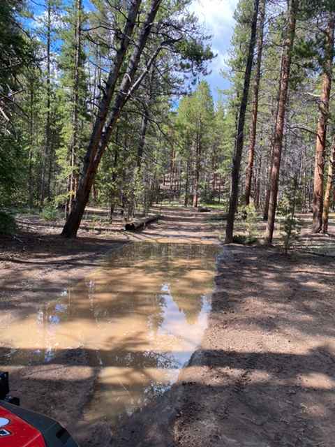 Tin Cup Lily Pond Loop