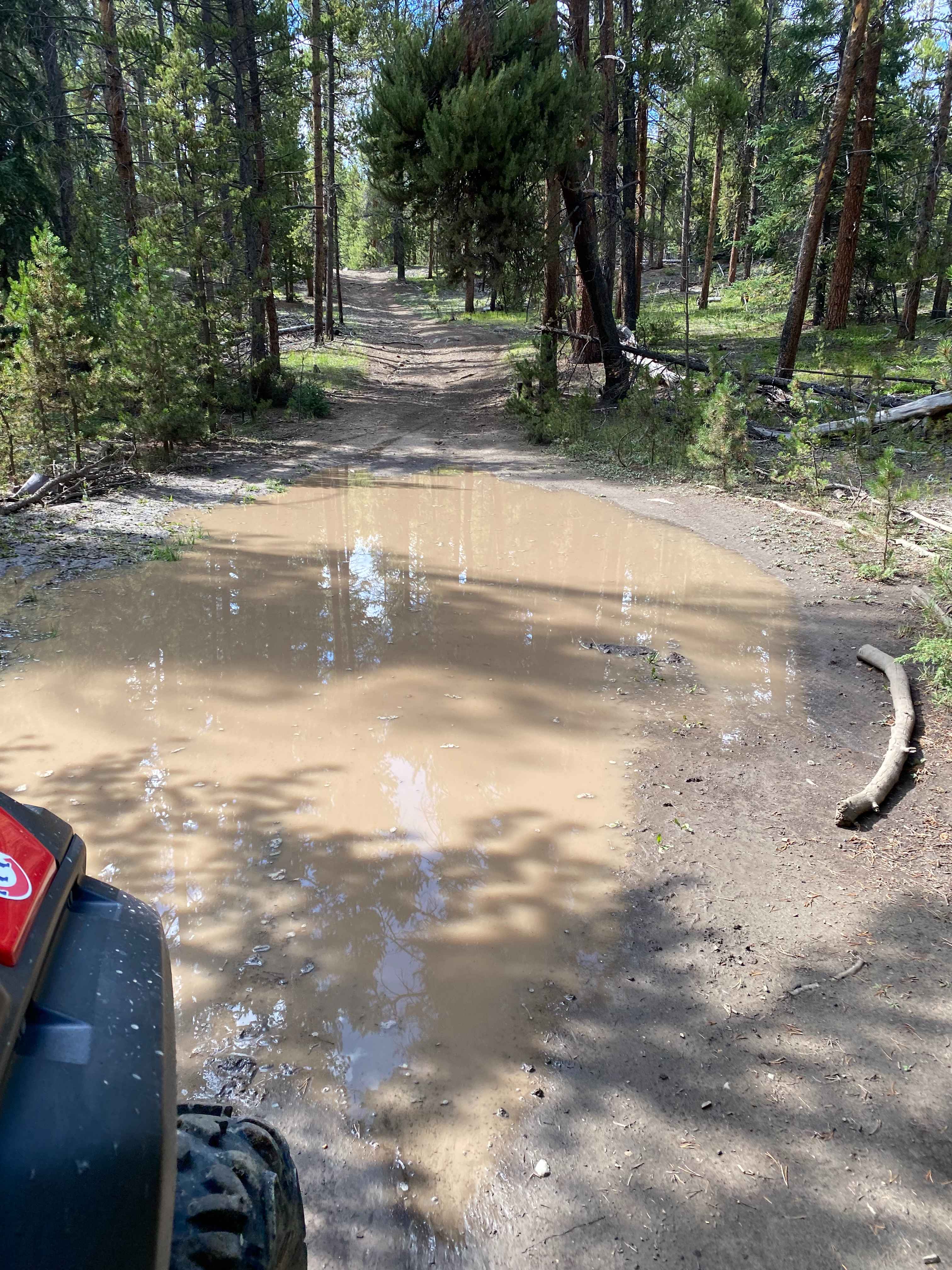 Tin Cup Lily Pond Loop