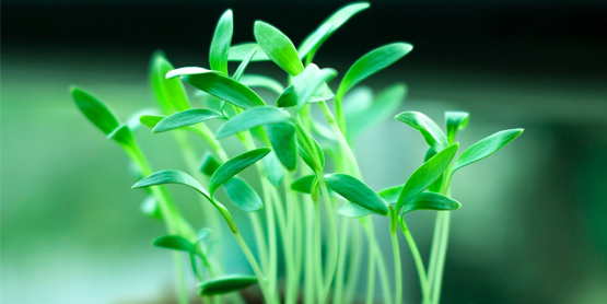 Foto från Pexels, fotograf Artem Balachevsky