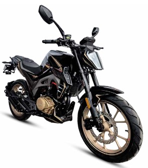 MOTOCICLETA DAYTONA DY200 ARROW