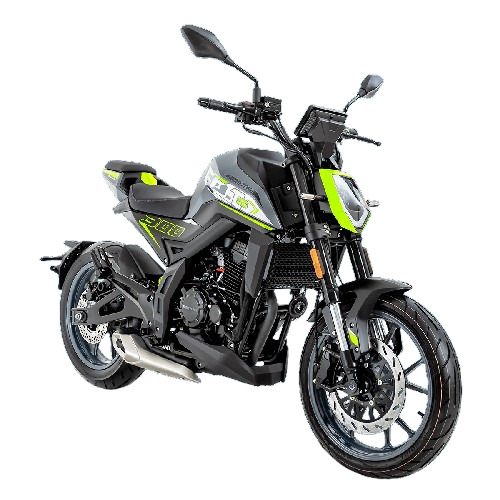 MOTOCICLETA DAYTONA DY300 GP-1S