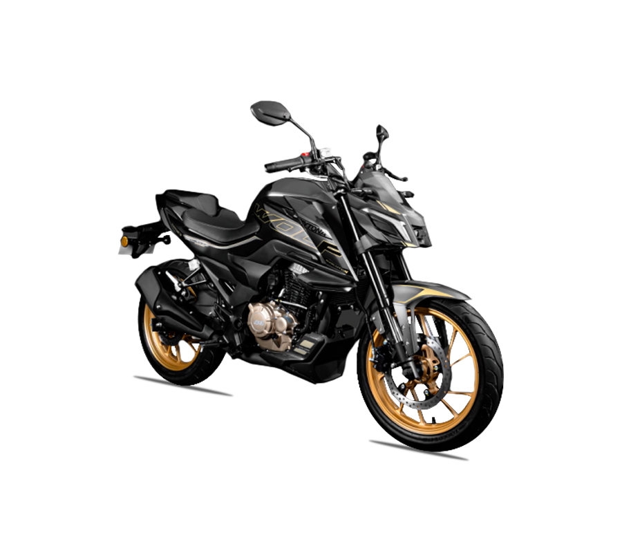 MOTOCICLETA DAYTONA DY250 WOLF EVOLUTION 