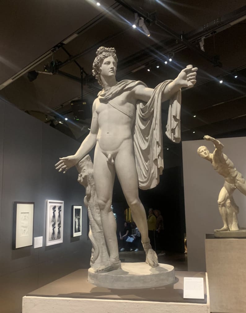 Plaster casts Apollo Belvedere (front) & Borghese Gladiator (back), featured in V&A Exhibition Fashioning Masculinities 2022