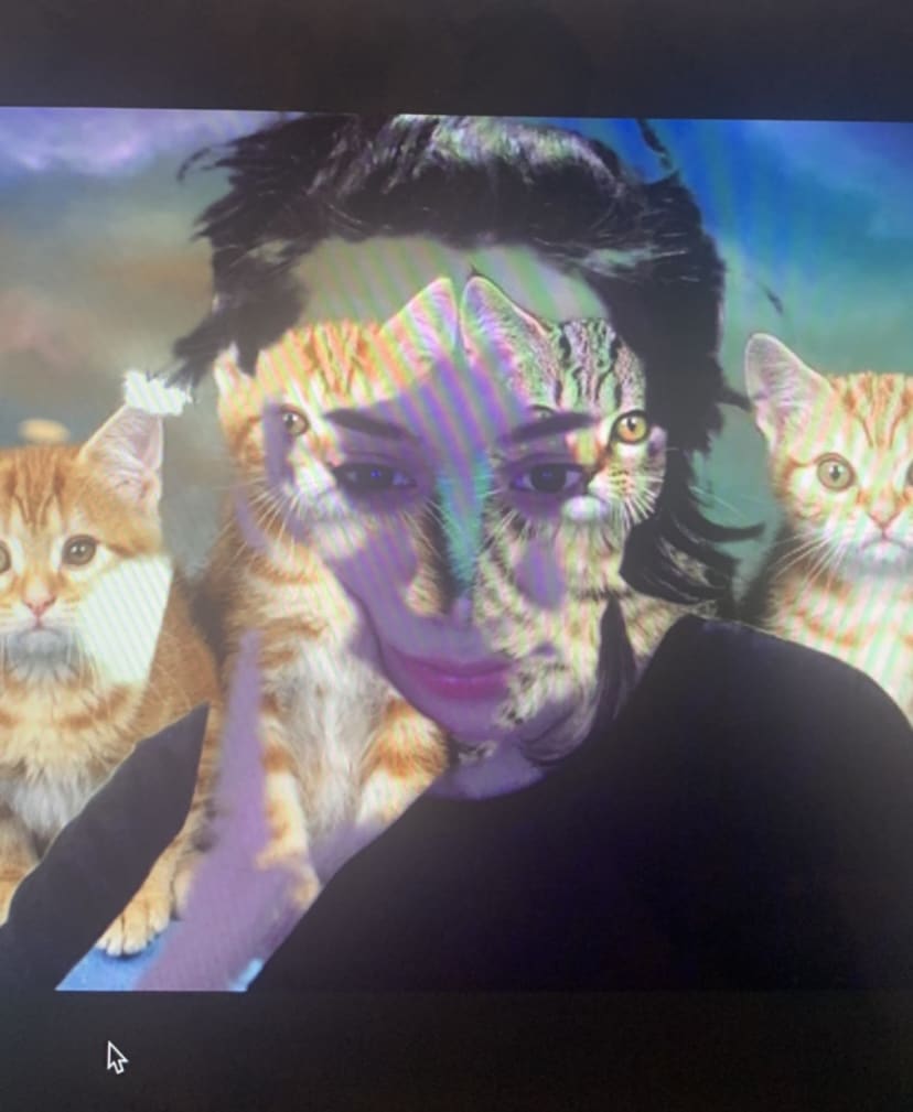 A girl blended in with the virtual background with kittens 
