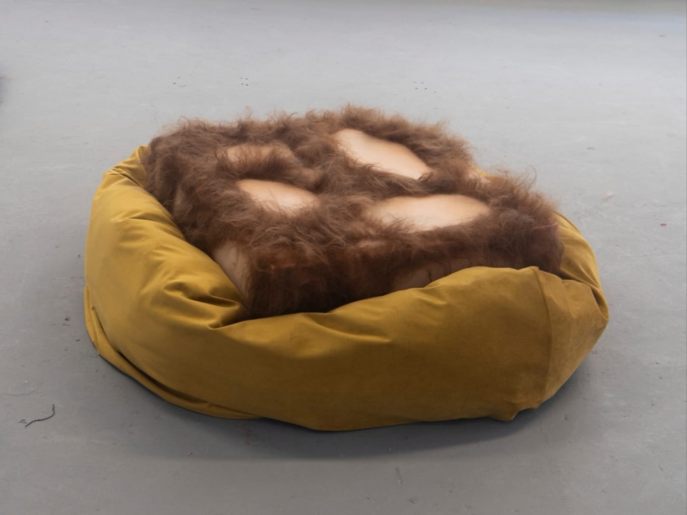 Block of flesh covered in hair sat on a mustard coloured bean bag.