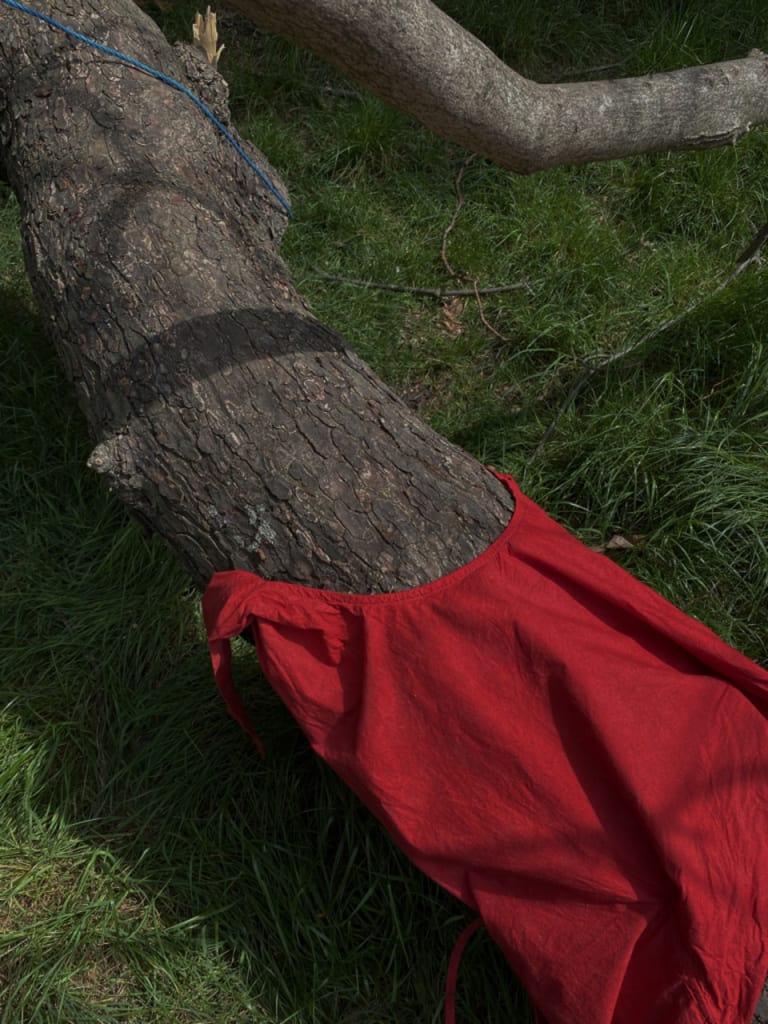 A fallen tree on dark green grass, wearing a red dress.