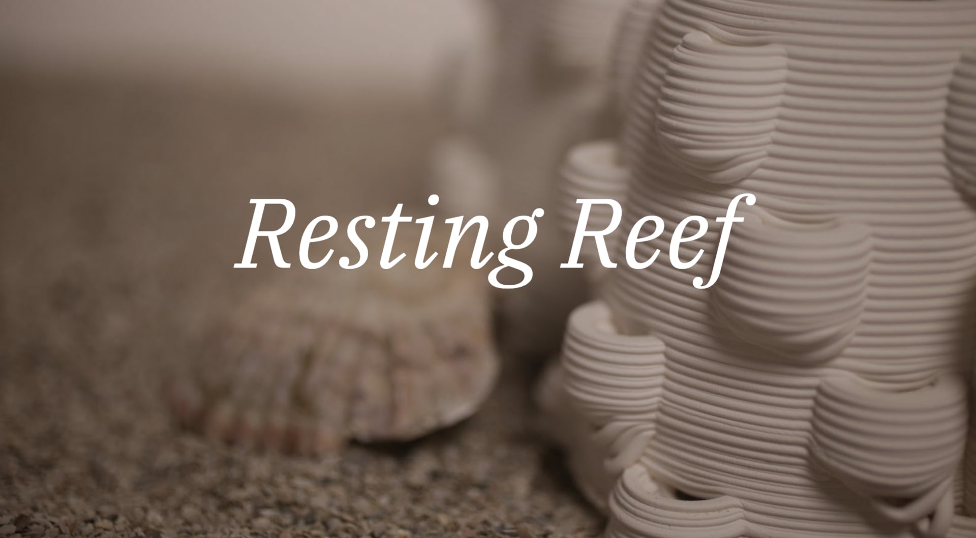 Resting Reef is tackling two seemingly unrelated global problems:

1. Traditional burial options that are outdated and incredibly polluting.

2. Existential loss of biodiverse marine habitats.