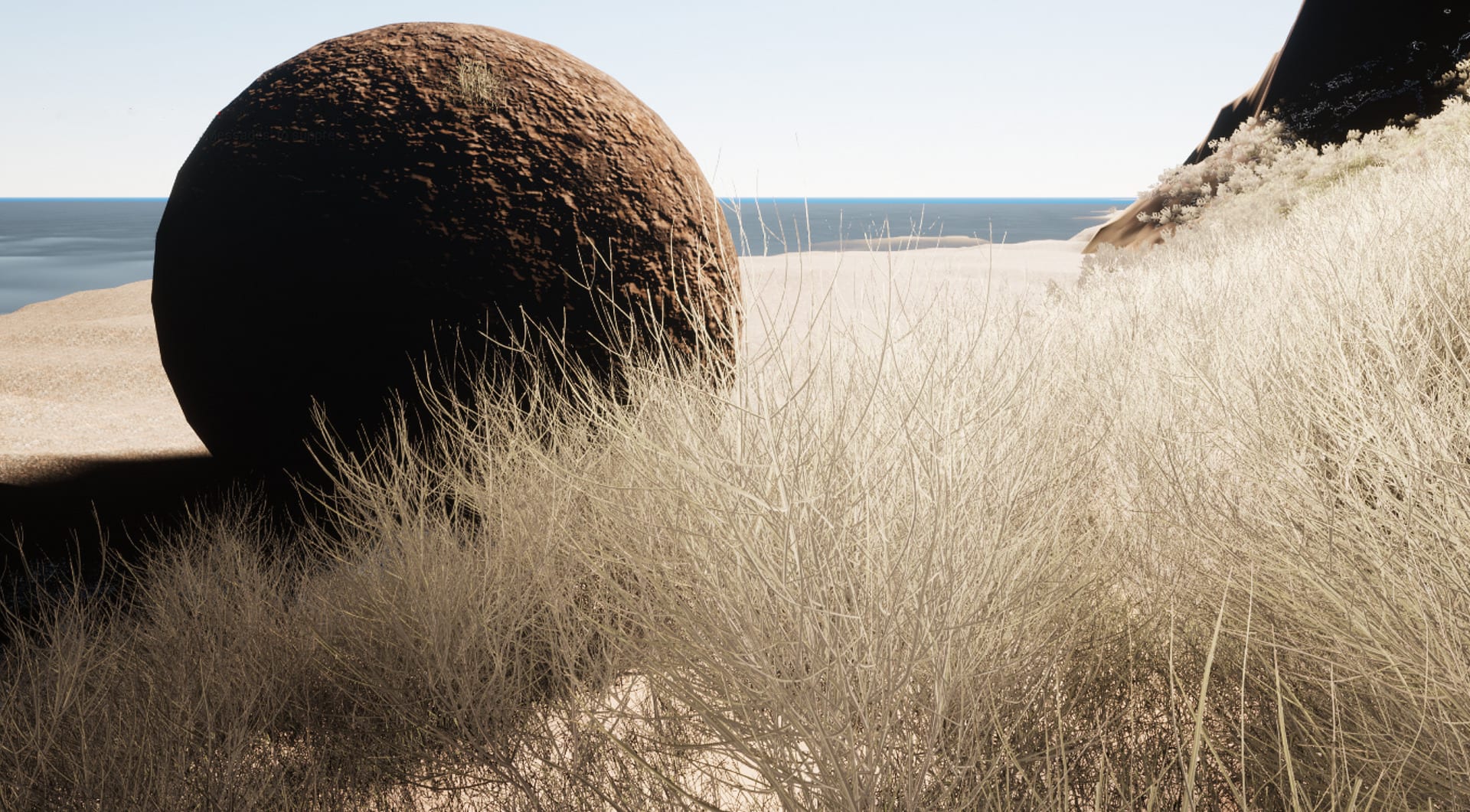 image on XR experience.  A beach with a large round boulder