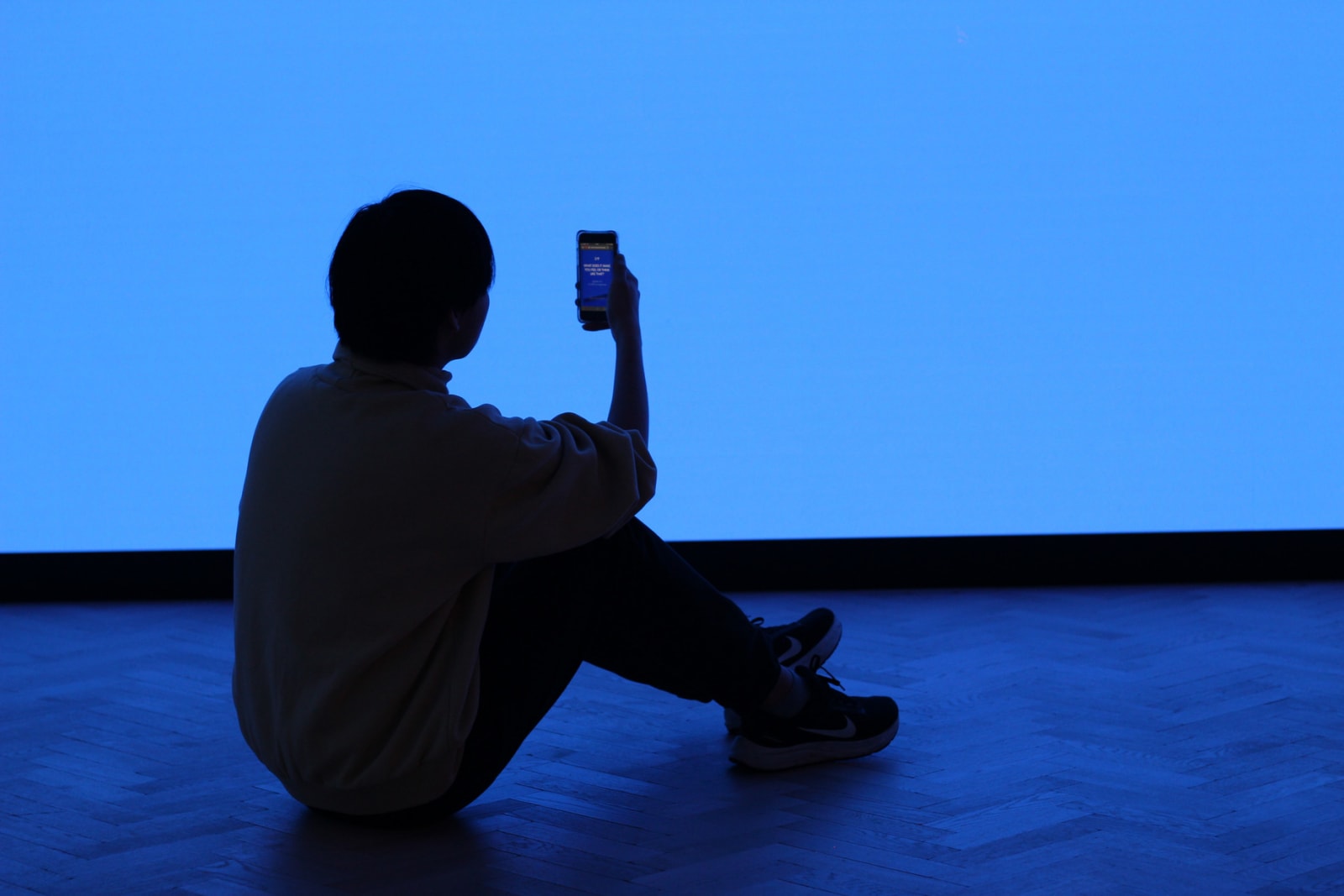 A person interacting with the artwork, large giagantic Blue Screen faced against the person, person looking at his mobile phone.