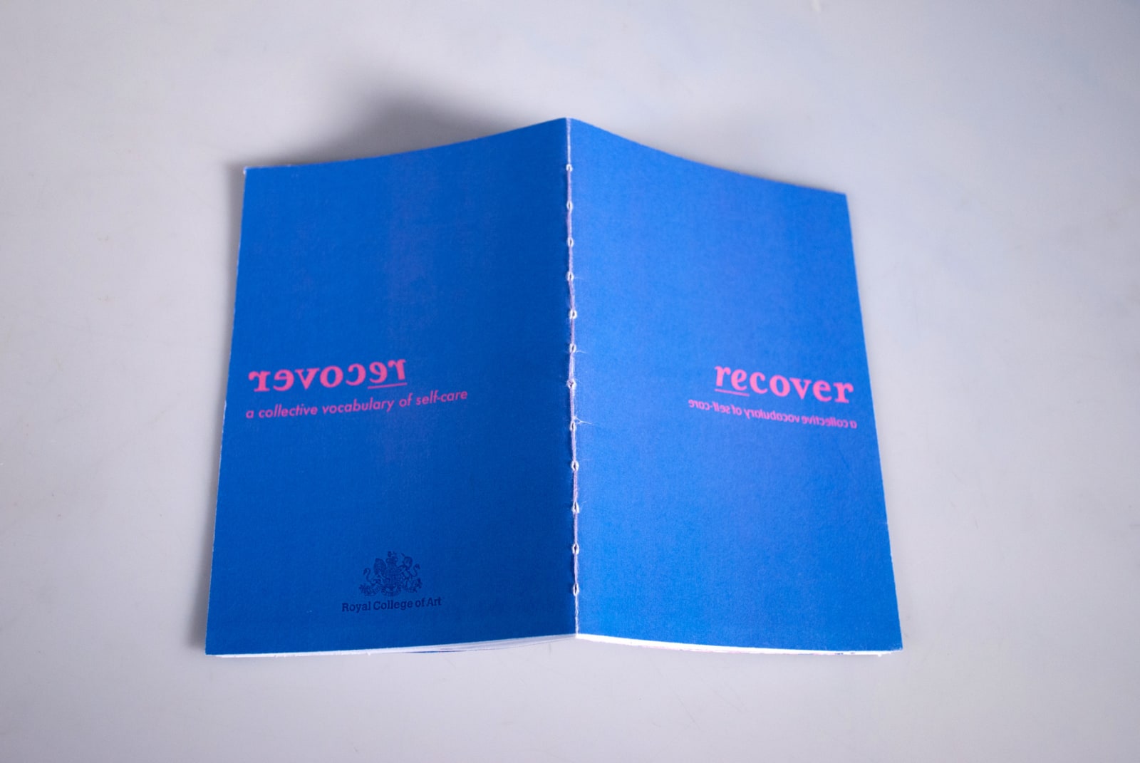 A6 publication, hand-bound with stitches. Front and back cover are photographed from above. Plain blue cover, bright pink title.