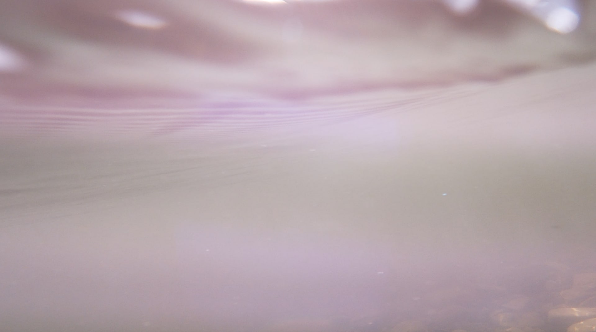 an underwater blurry image showing pink and green