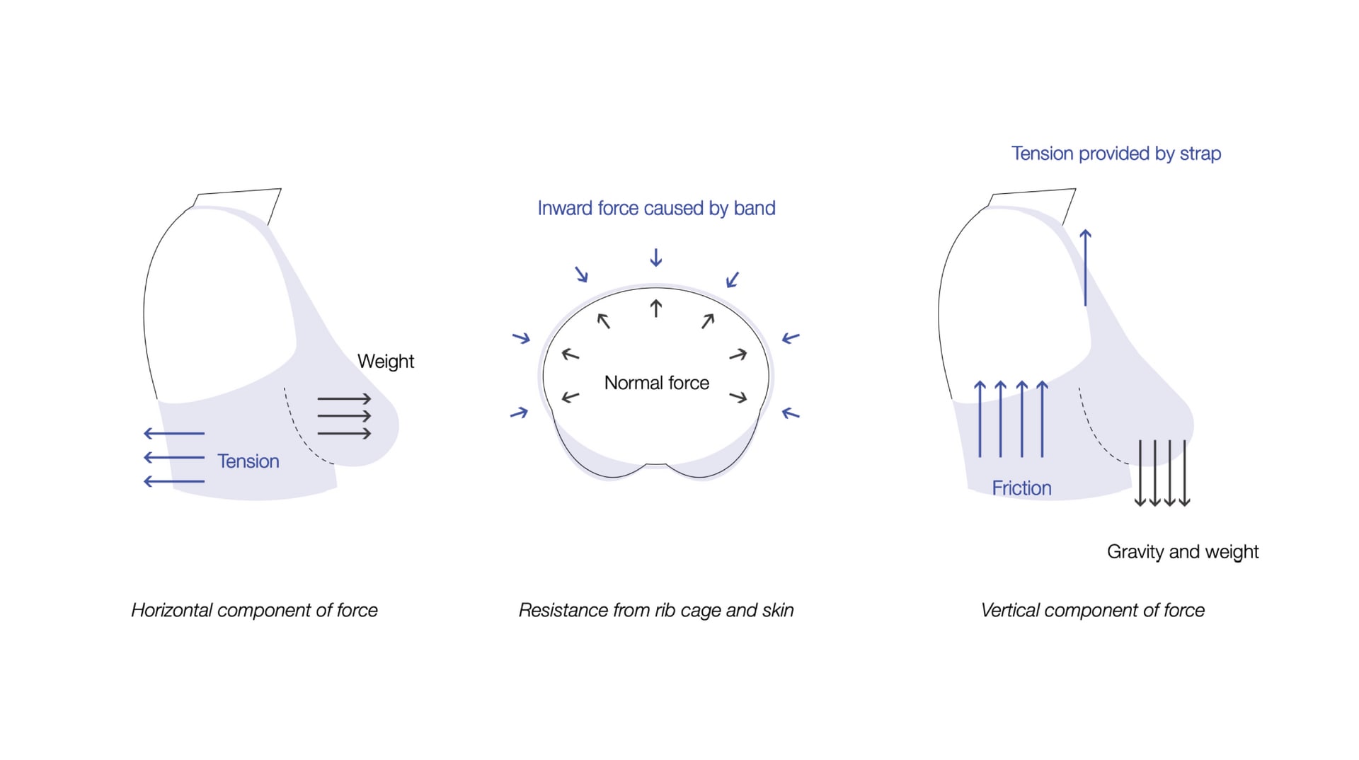 Force analysis of sports bra