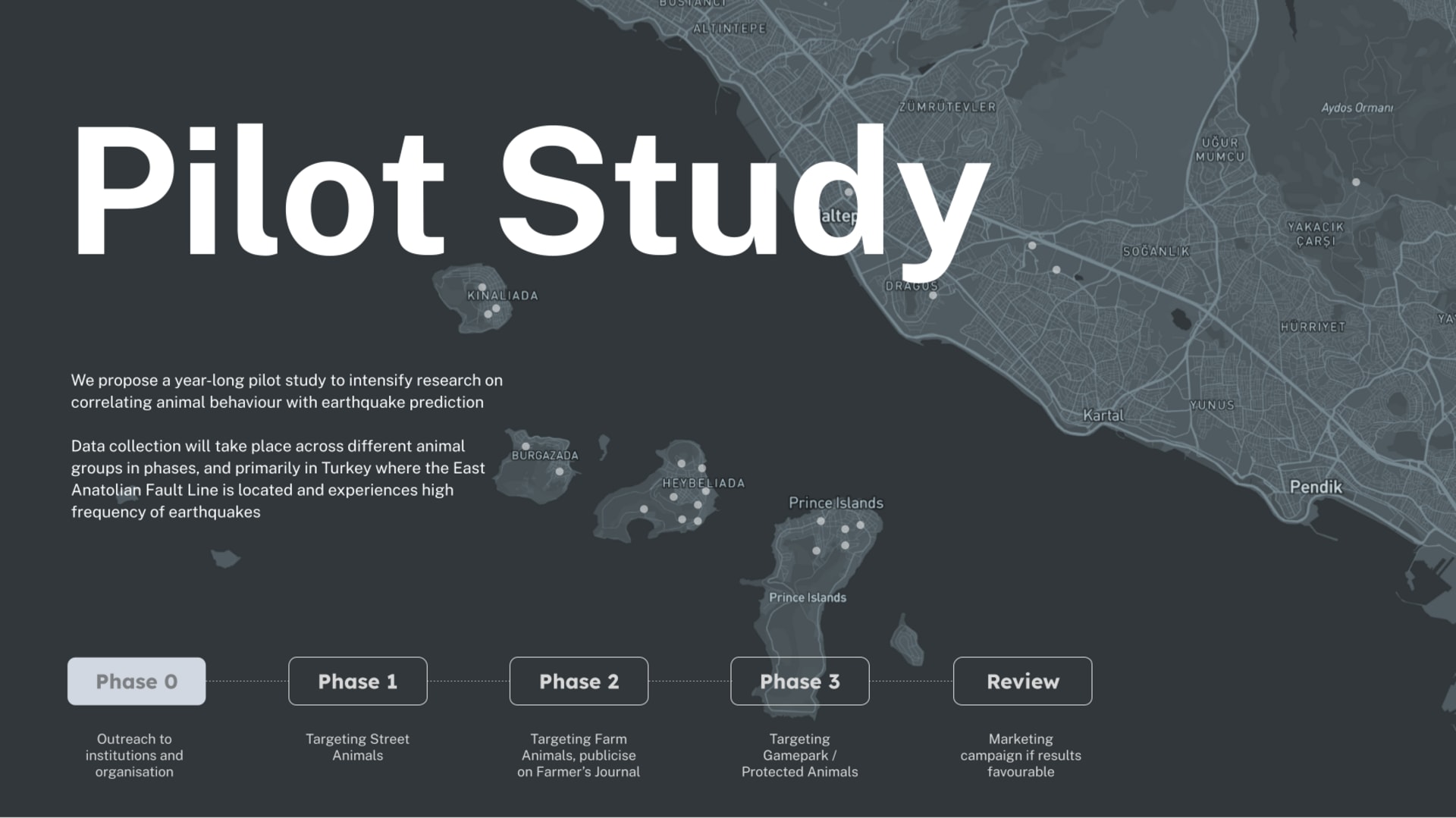 Pilot Study