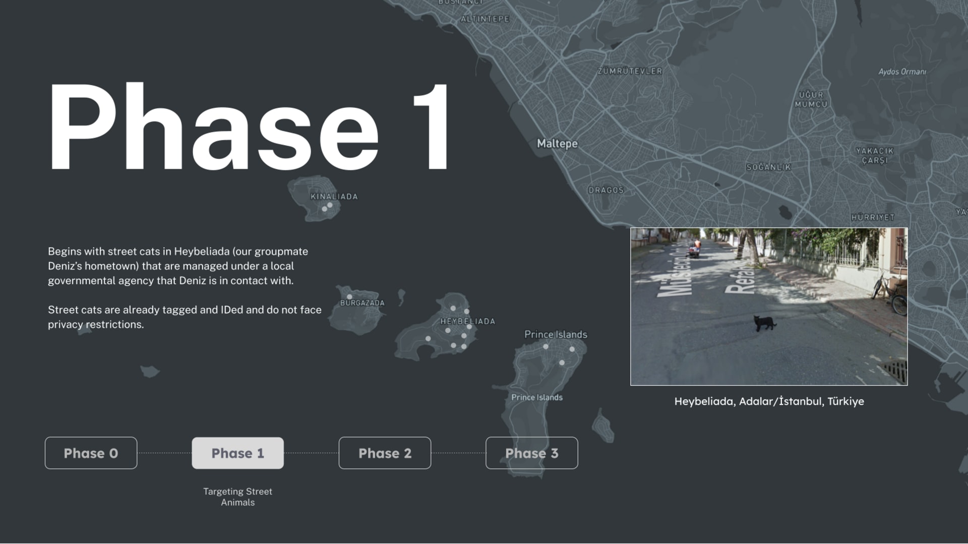 Phase 1 trial - street animals