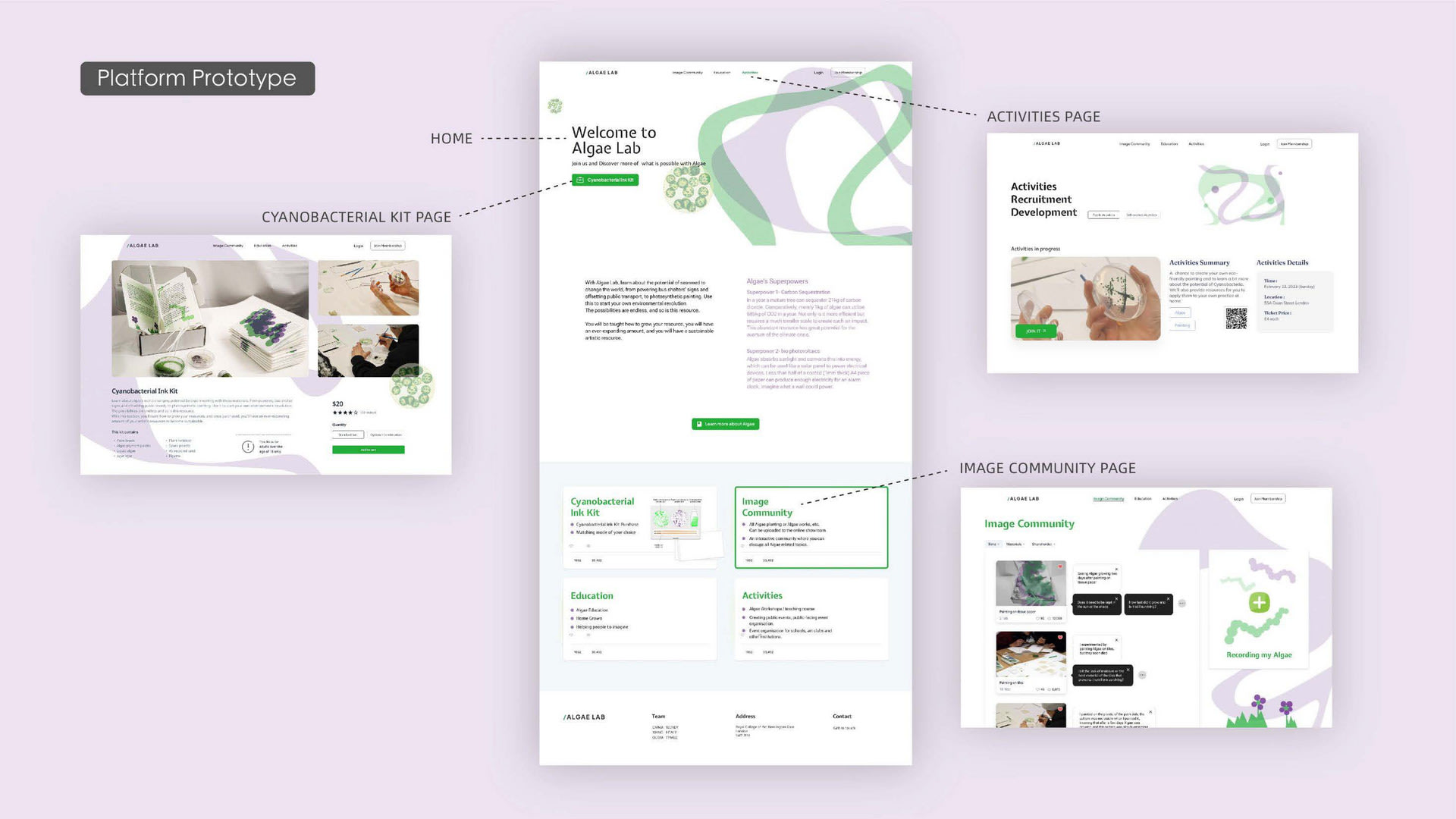 Purple and green website of arts alive