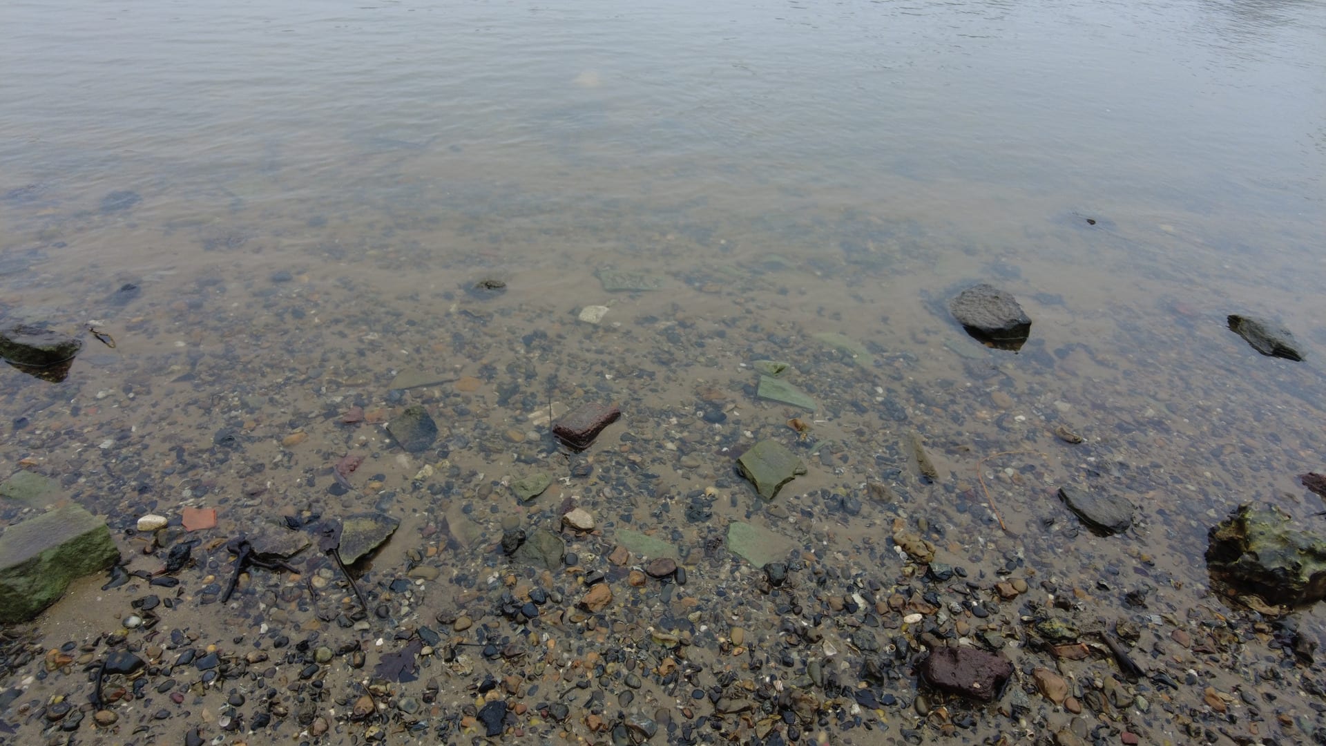 The Thames