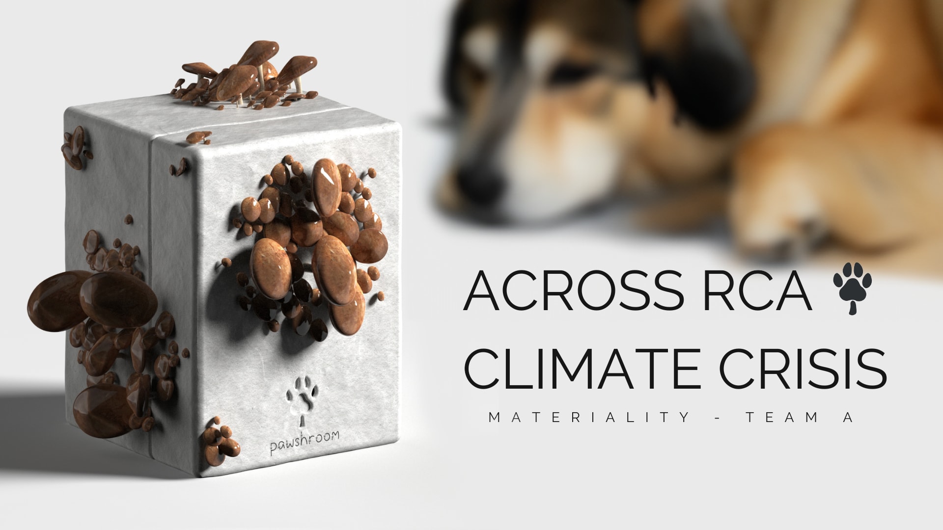 Across RCA Climate Crisis - PAWSHROOM Featured image.