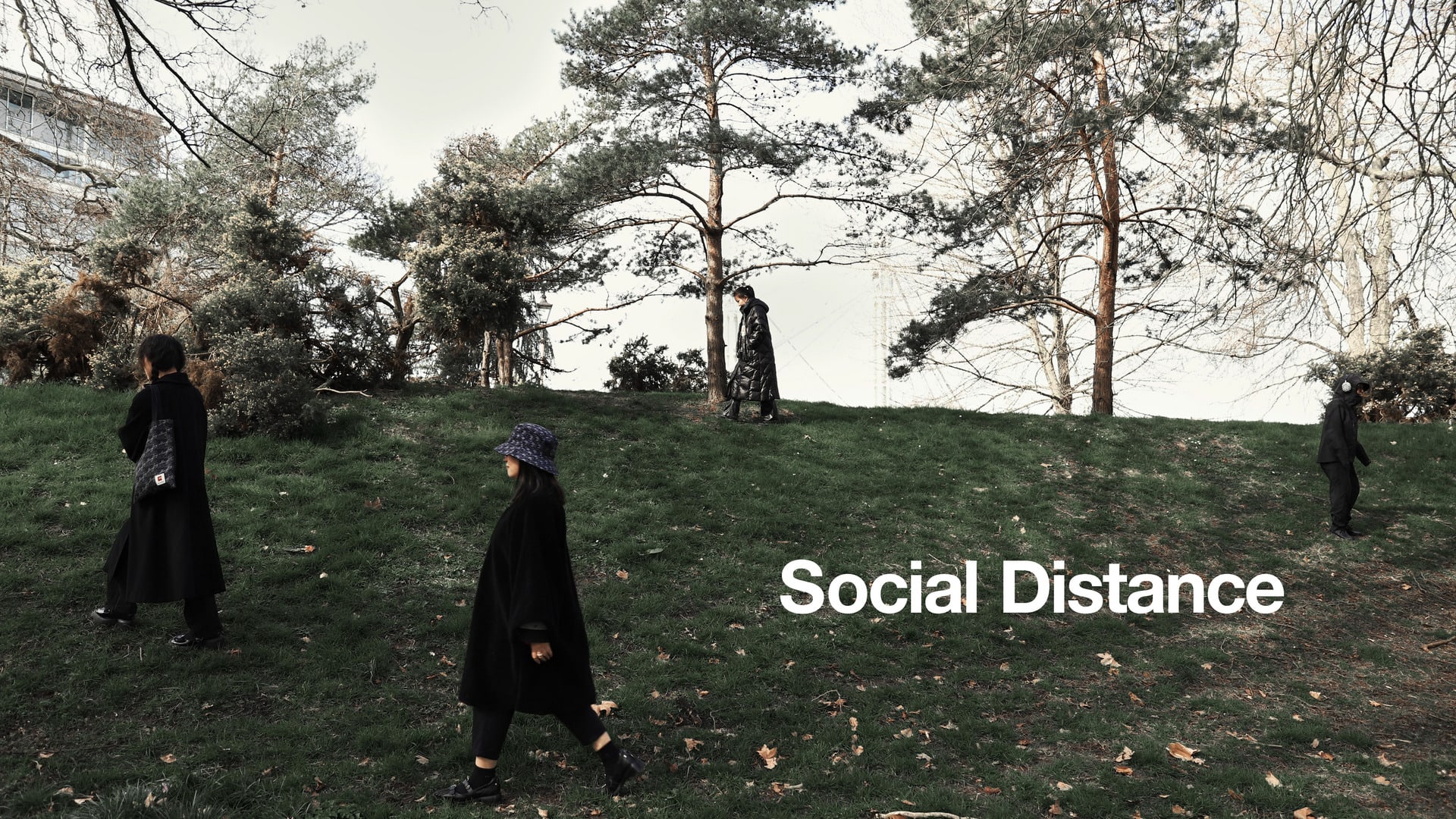 the cover page of Social Distance