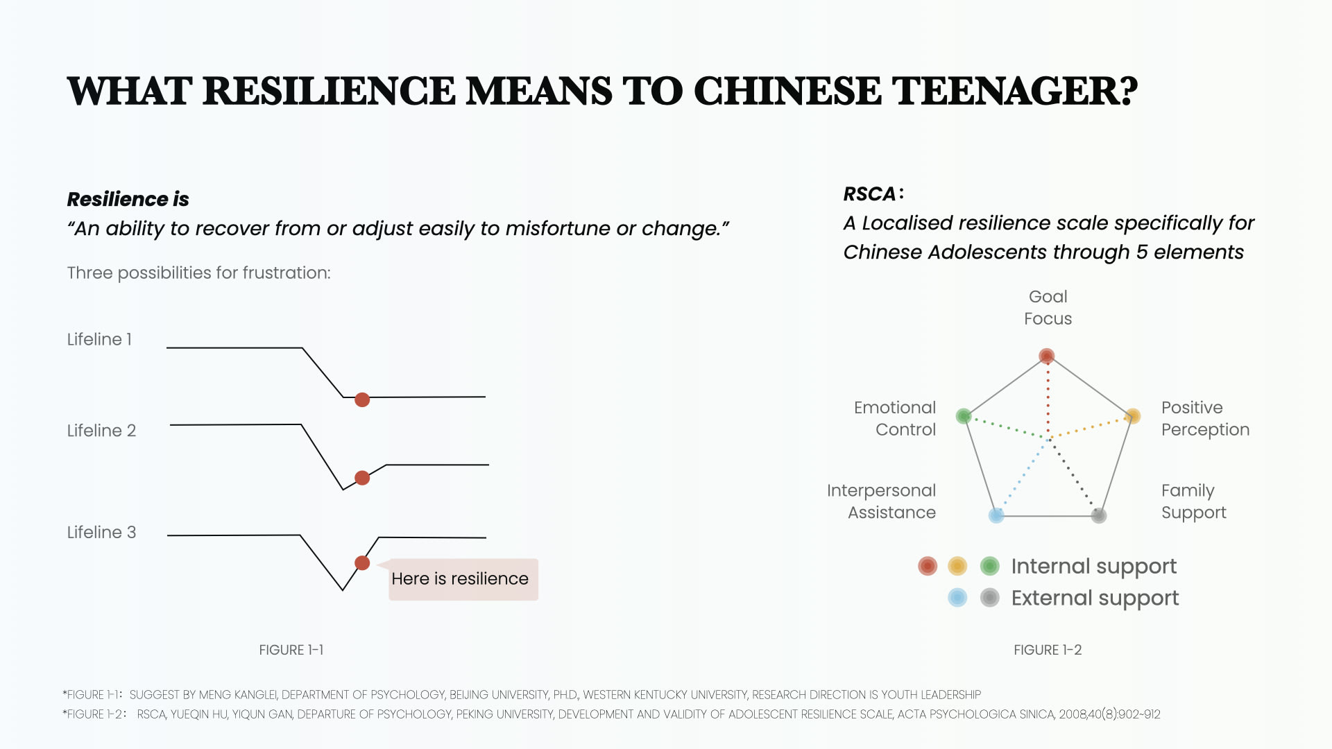 Resilience for Chinese Youth