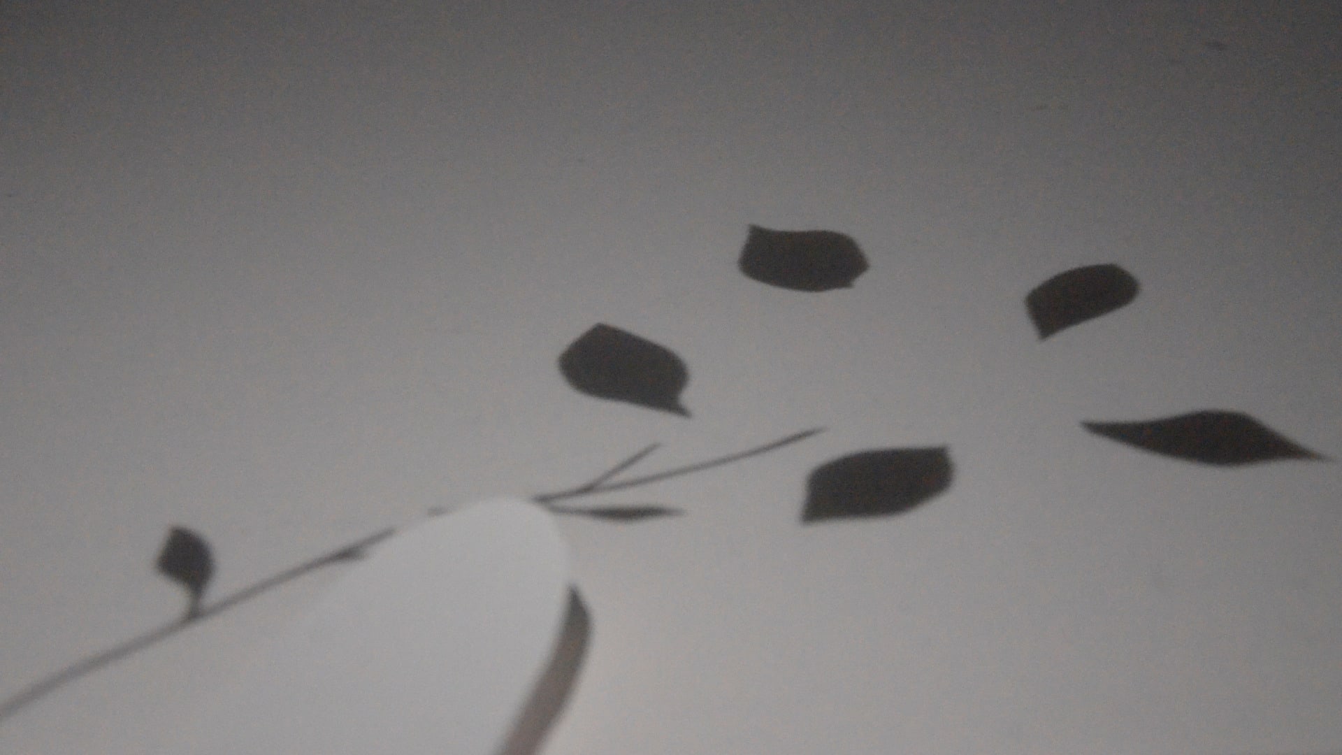 Film Still 2