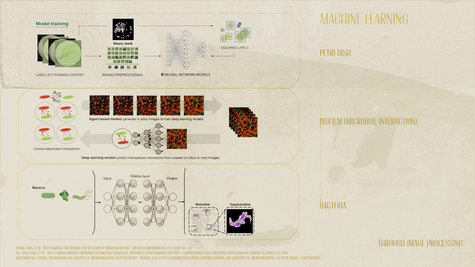 Machine Learning in the Context of Bio-visualization 