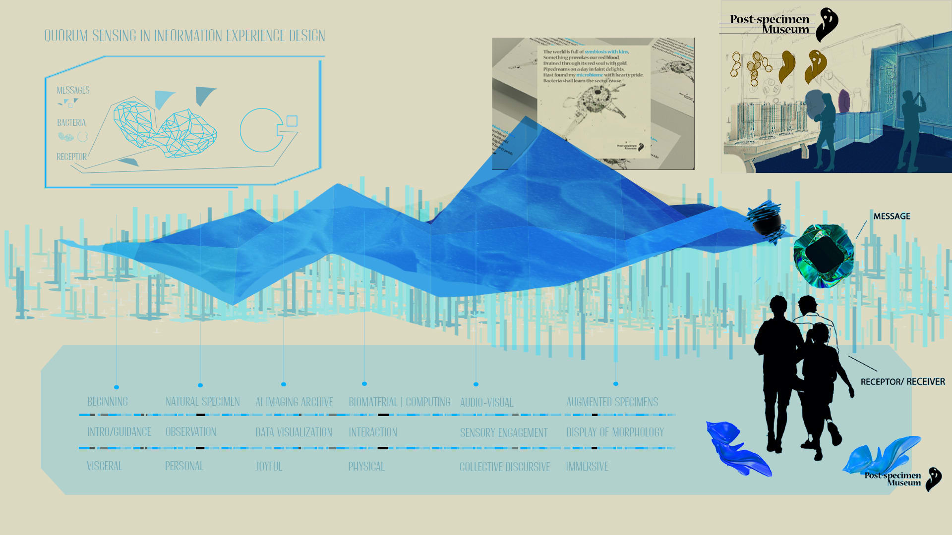 Post-specimen Museum Experience Diagram