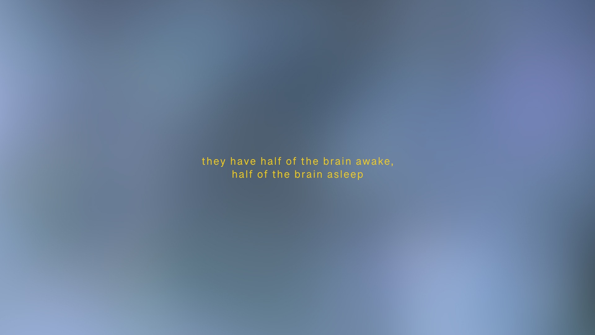 they have half of the brain awake, half of the brain asleep
