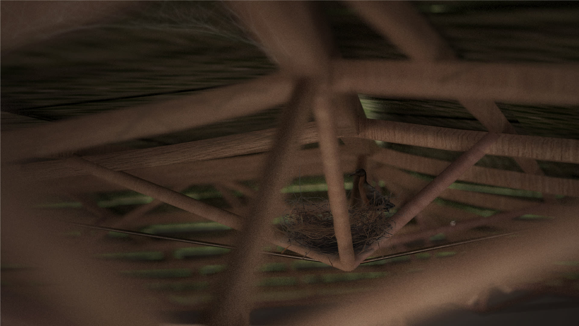 Tension Bars Supporting Rafters and Pollinating Wildlife