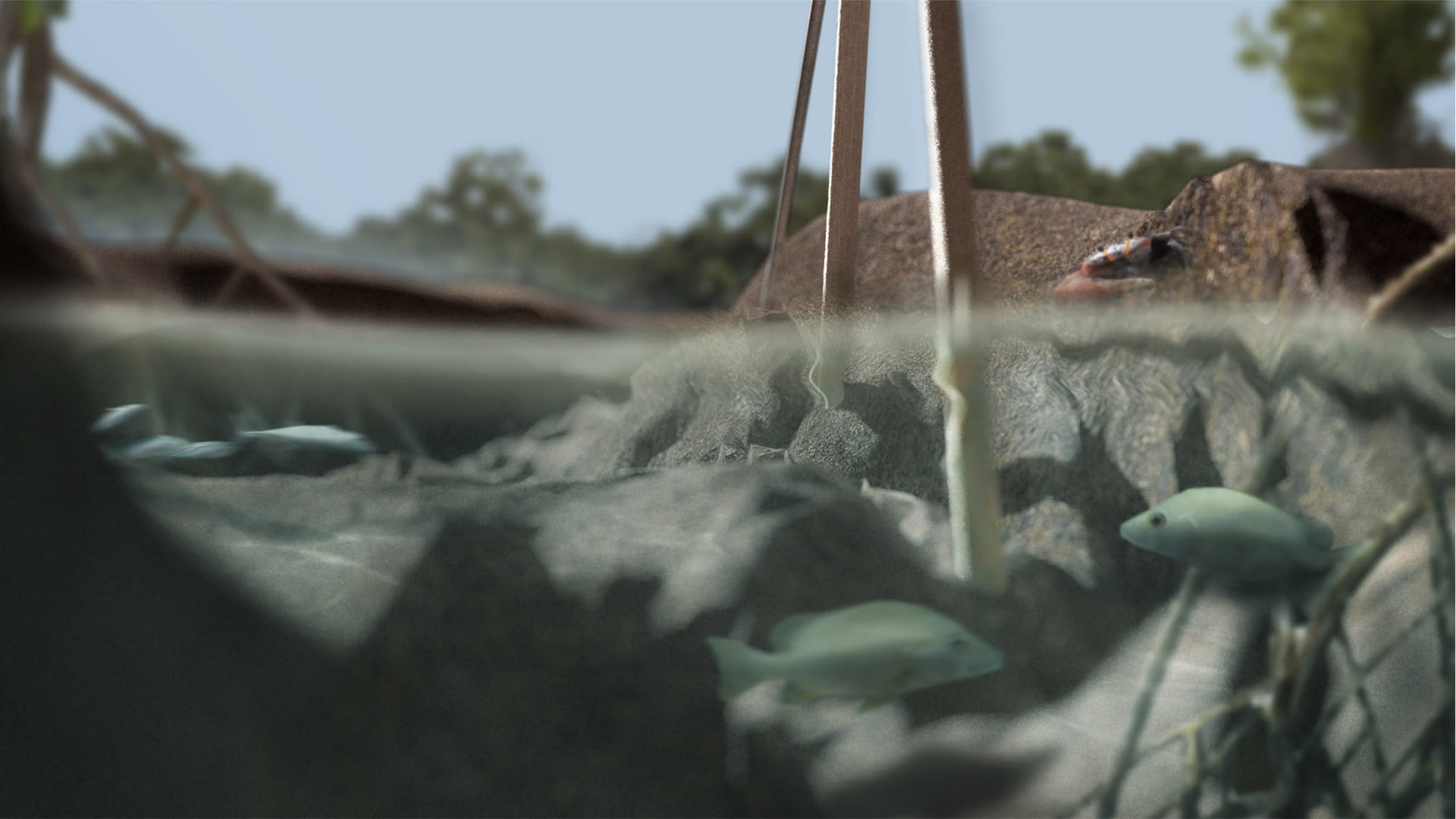 Structural Columns Protecting Marine Life