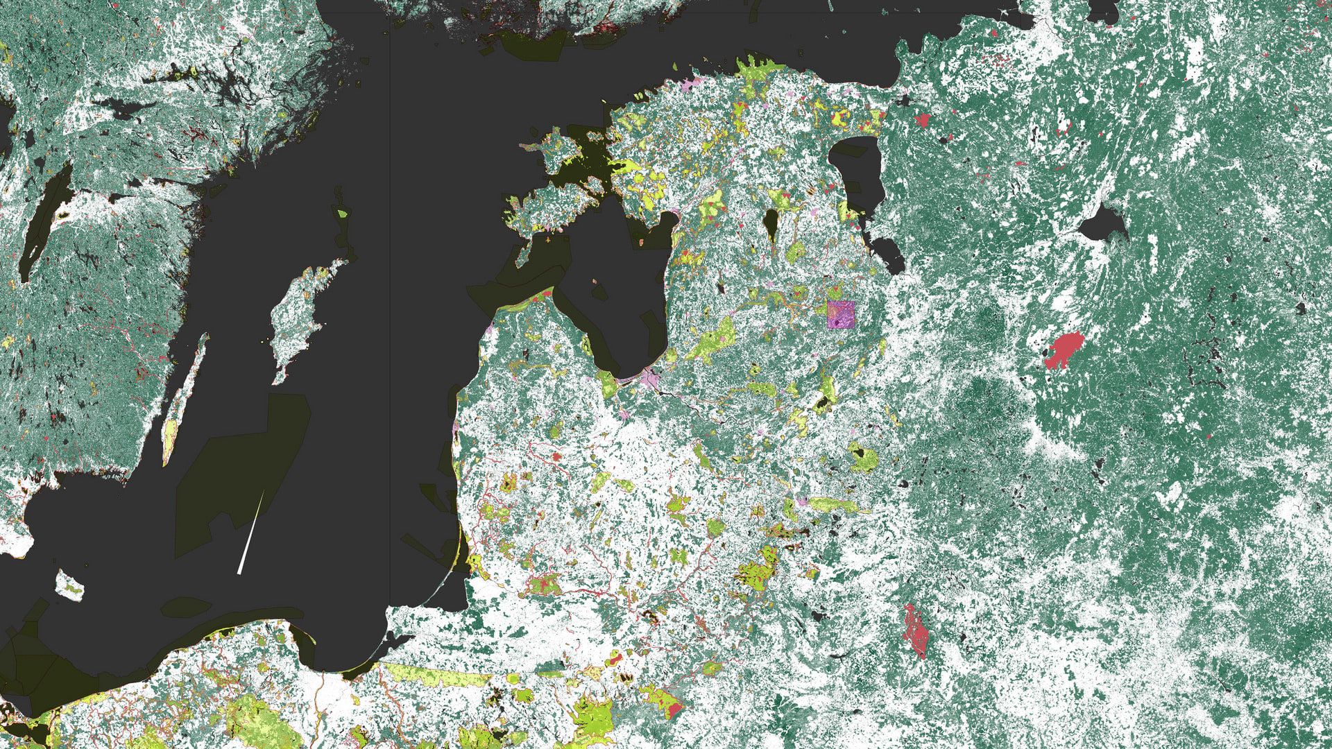 Baltics - Forest Cover, Natura 2000 and Primary Forests