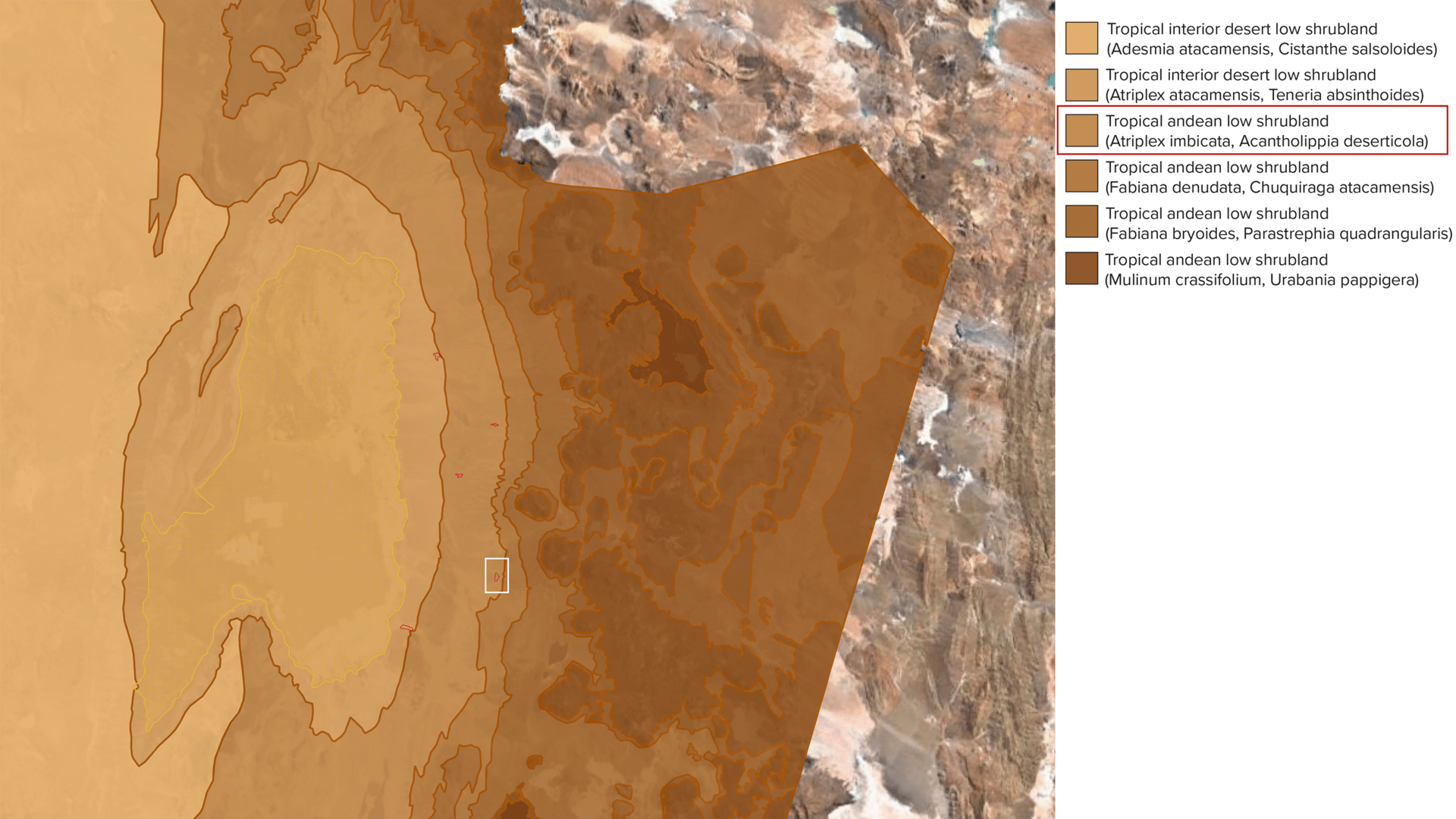 Socaire located in Drawing showing Different Vegetational Floors in the Region