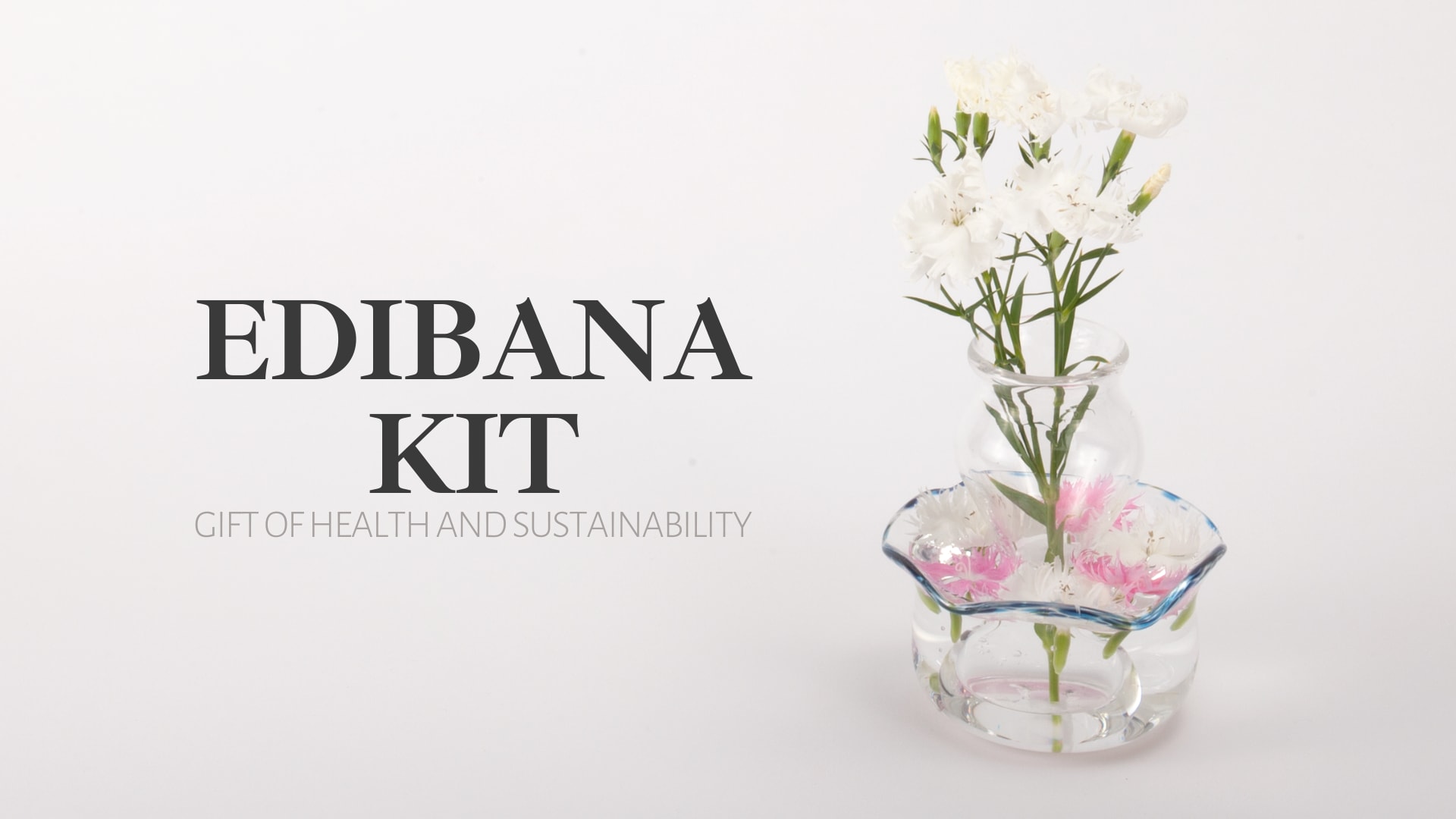 Edibana Kit Gift of Health and Sustainability