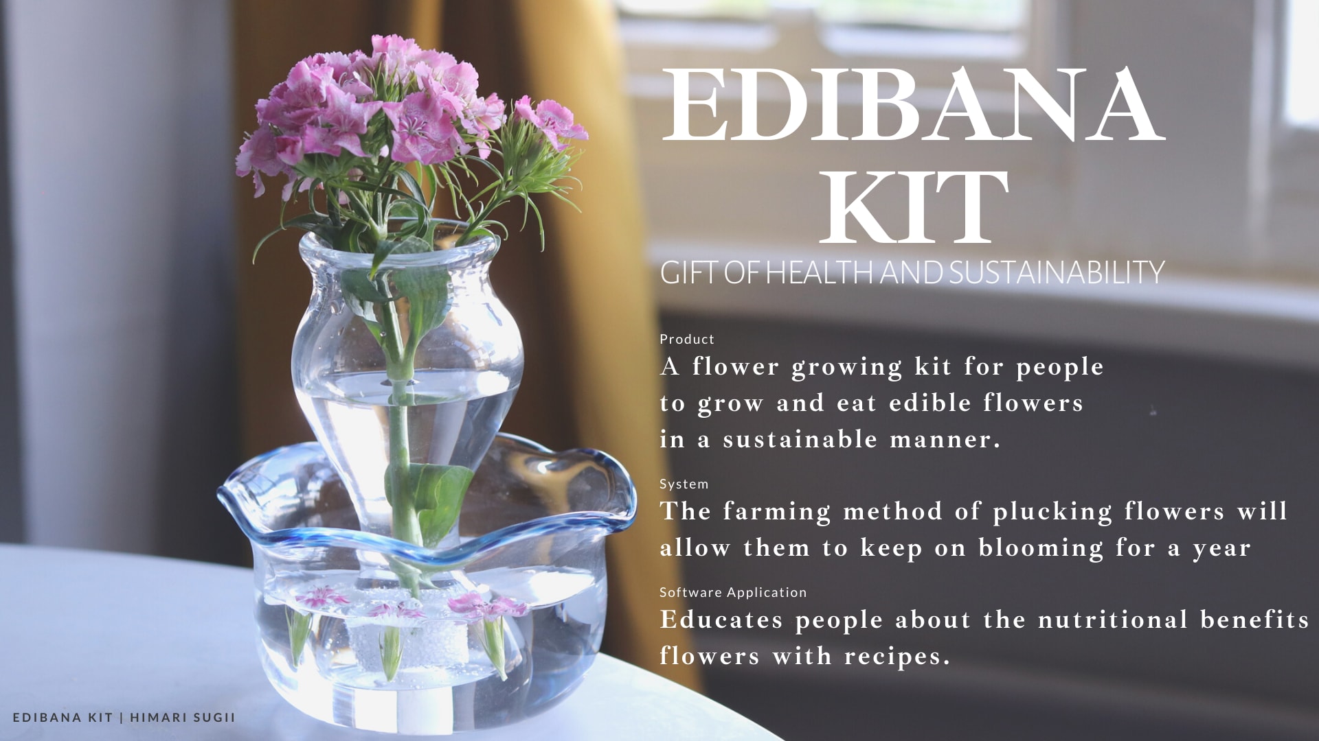 Edibana Kit, media item 1