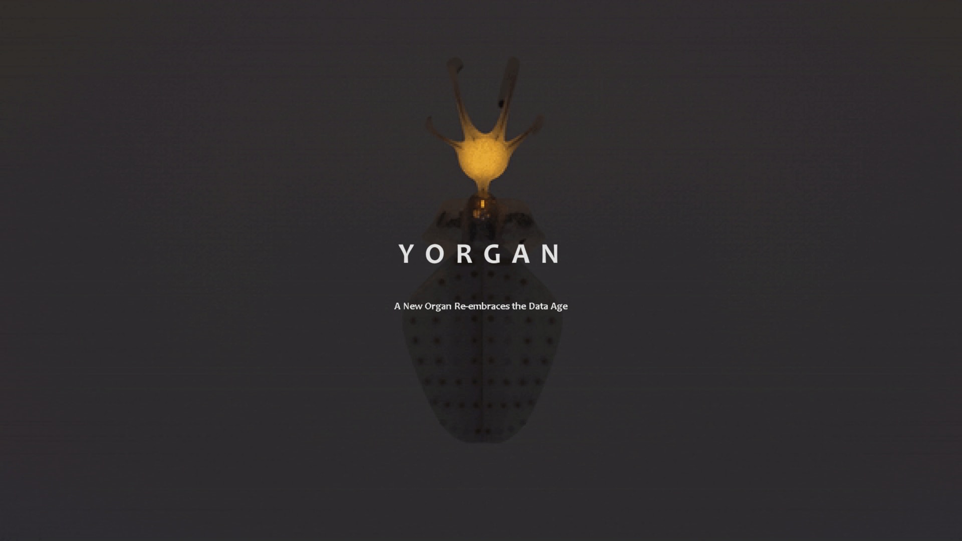 YORGAN-YUTONG FU