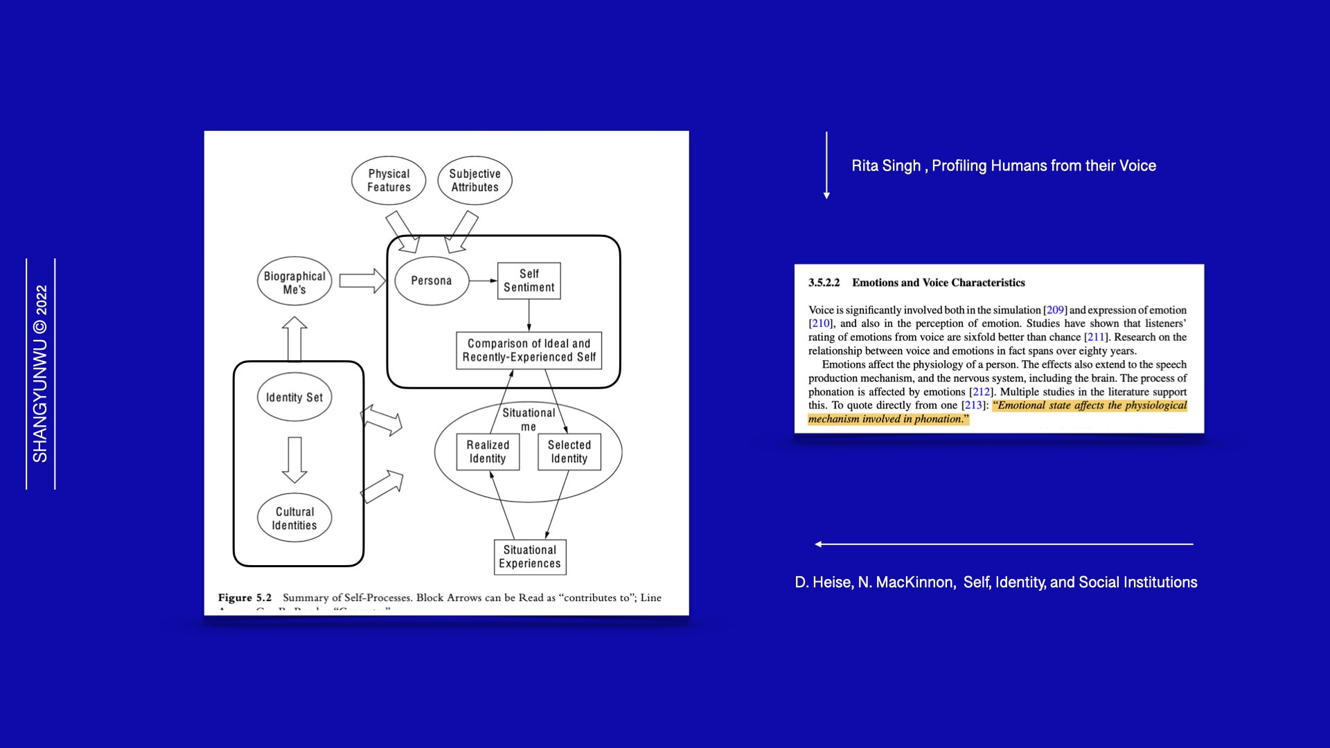 Voice, Emotion and Identity Design Reference